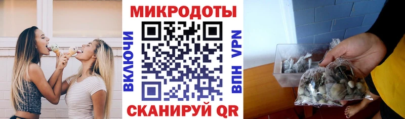 Купить  Лермонтов  Псилоцибиновые грибы мицелий 